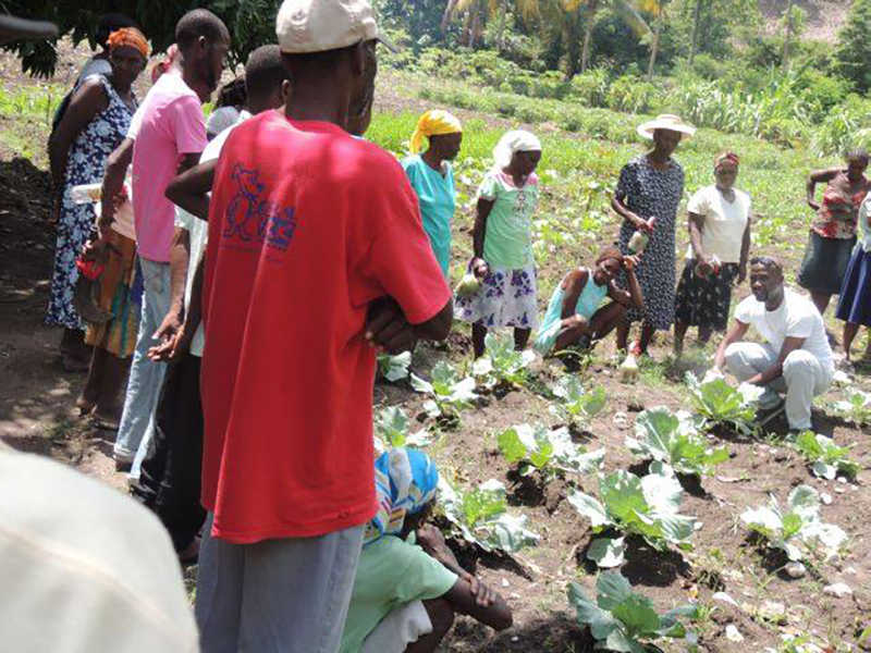 Haiti-Gardening_teaching-agriculture